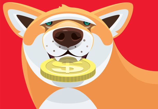 shiba inu in binance us